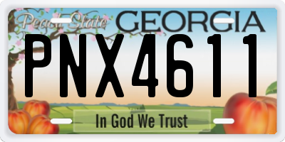 GA license plate PNX4611