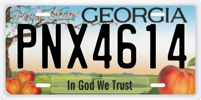 GA license plate PNX4614