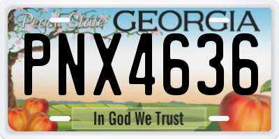 GA license plate PNX4636