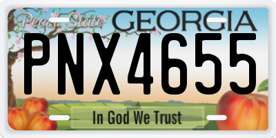 GA license plate PNX4655