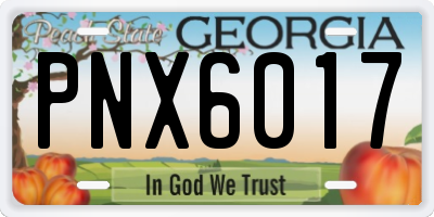 GA license plate PNX6017