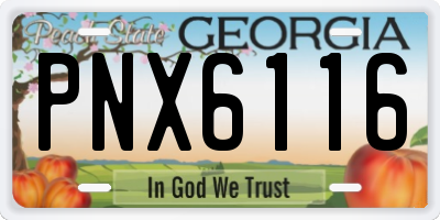 GA license plate PNX6116