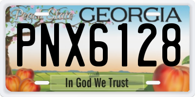 GA license plate PNX6128
