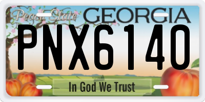 GA license plate PNX6140