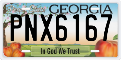 GA license plate PNX6167