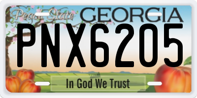 GA license plate PNX6205