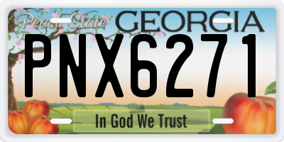 GA license plate PNX6271