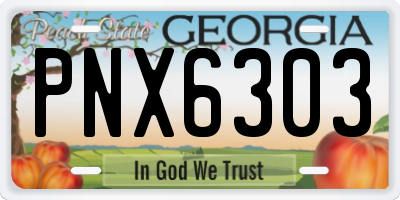 GA license plate PNX6303