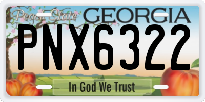 GA license plate PNX6322