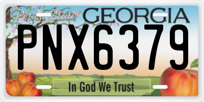 GA license plate PNX6379
