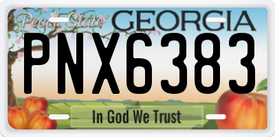 GA license plate PNX6383