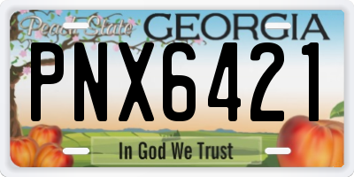 GA license plate PNX6421