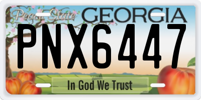 GA license plate PNX6447