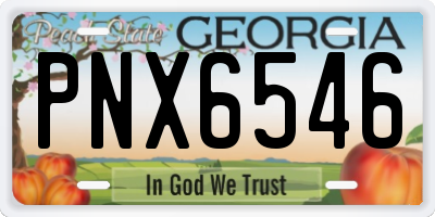 GA license plate PNX6546