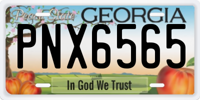 GA license plate PNX6565