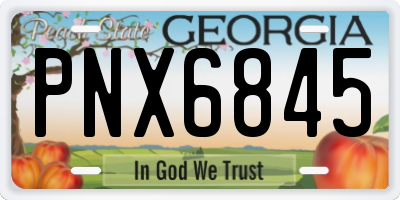GA license plate PNX6845
