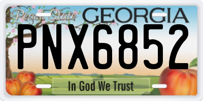 GA license plate PNX6852