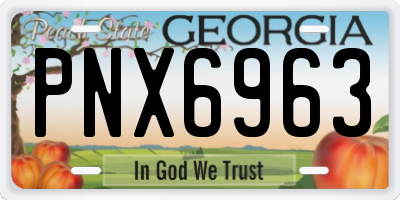 GA license plate PNX6963