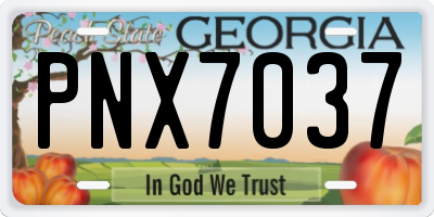 GA license plate PNX7037