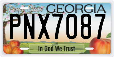 GA license plate PNX7087