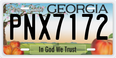 GA license plate PNX7172