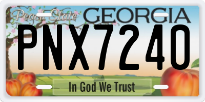 GA license plate PNX7240