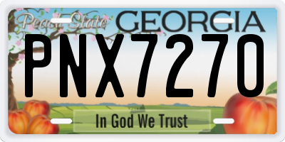 GA license plate PNX7270