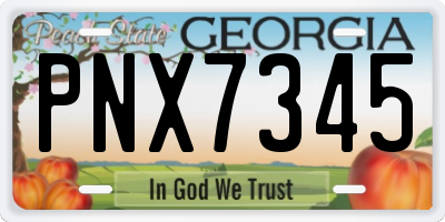 GA license plate PNX7345