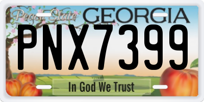 GA license plate PNX7399