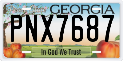 GA license plate PNX7687