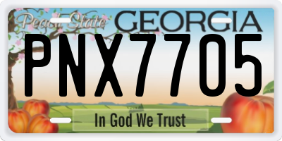 GA license plate PNX7705