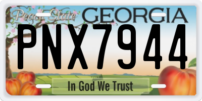 GA license plate PNX7944