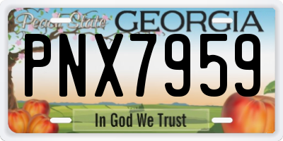 GA license plate PNX7959