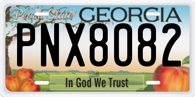 GA license plate PNX8082