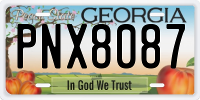 GA license plate PNX8087