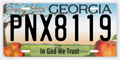 GA license plate PNX8119
