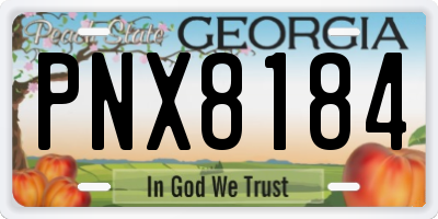 GA license plate PNX8184