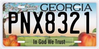GA license plate PNX8321