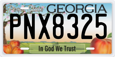 GA license plate PNX8325