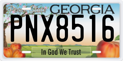 GA license plate PNX8516
