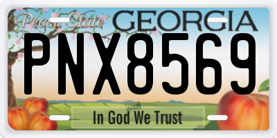 GA license plate PNX8569