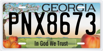 GA license plate PNX8673