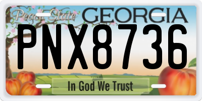 GA license plate PNX8736
