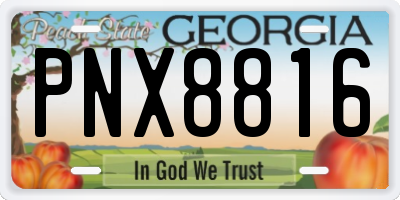 GA license plate PNX8816