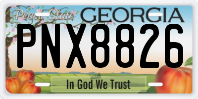 GA license plate PNX8826