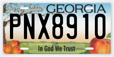 GA license plate PNX8910
