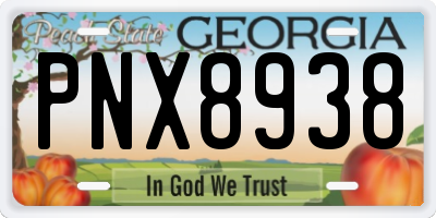 GA license plate PNX8938