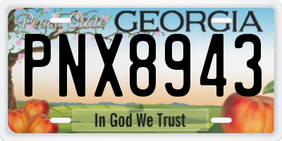 GA license plate PNX8943