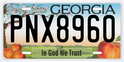GA license plate PNX8960