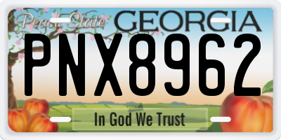 GA license plate PNX8962